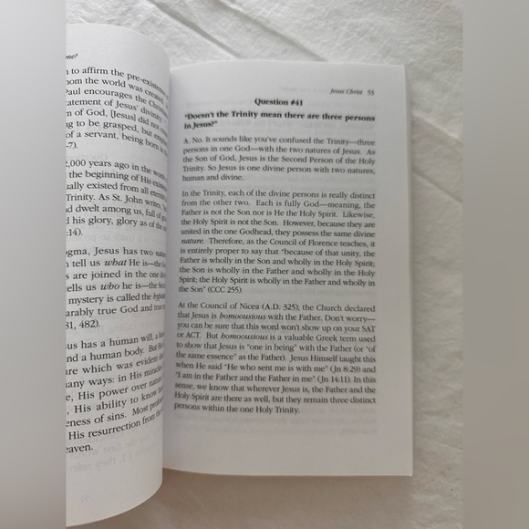 🎉Did Jesus Have A Last Name? Book Answers All Kinds Of Questions About Jesus - Picture 2 of 4